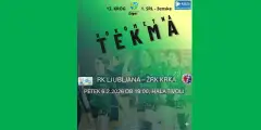 ROKOMETNA TEKMA