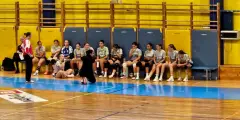 Naslovnica 15 Punce 2008-2011 in 2012-2013 odigrale turnir v Ajdovščini